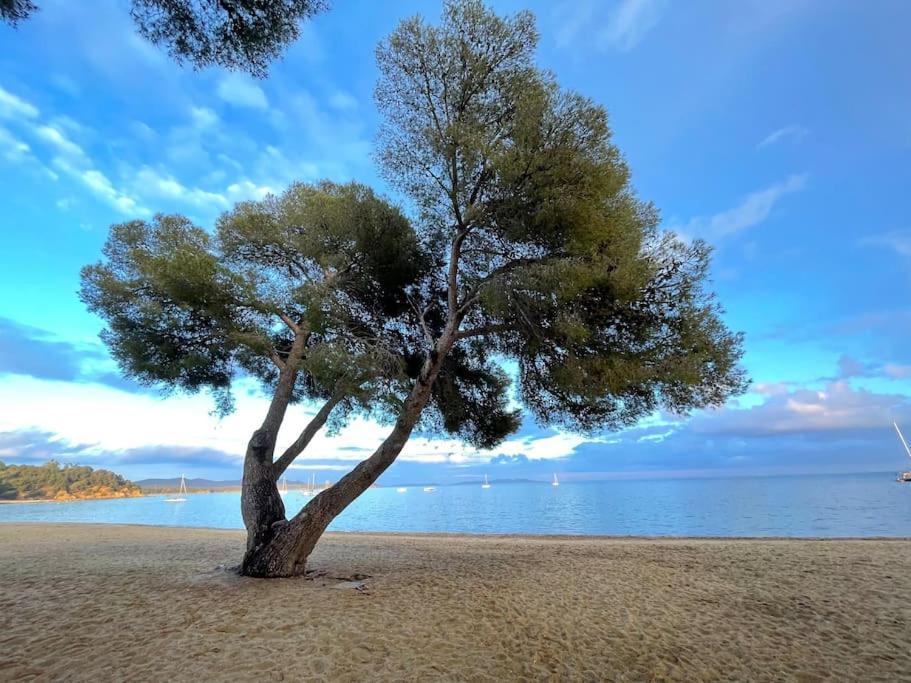 Appartement Plage Piscine Et Tennis Inclus La Londe-les-Maures Bagian luar foto