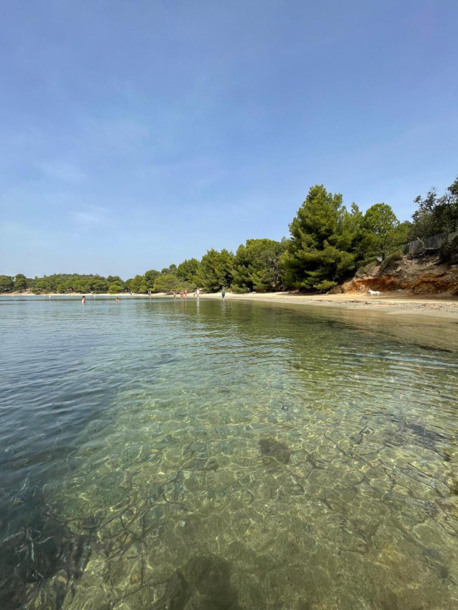 Appartement Plage Piscine Et Tennis Inclus La Londe-les-Maures Bagian luar foto